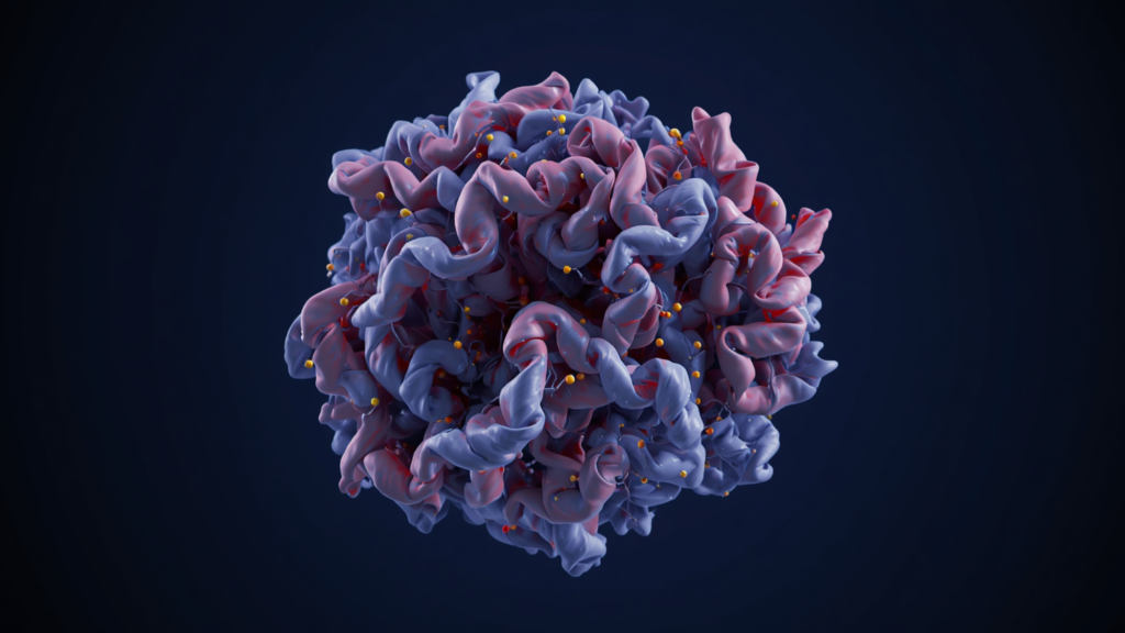 3D structural model of a thaumatin-like protein showing its folded shape and disulfide bonds