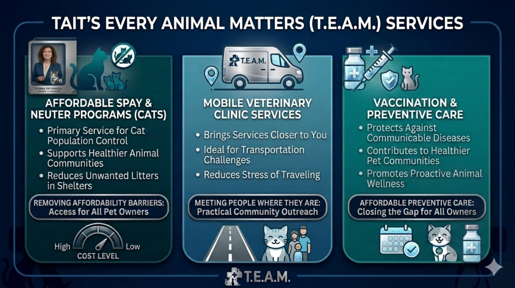 Infographic detailing feline veterinary care services.