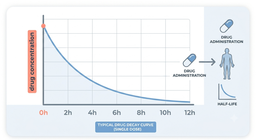 Illustration of a half-life decay curve showing drug concentration decreasing over time in the bloodstream