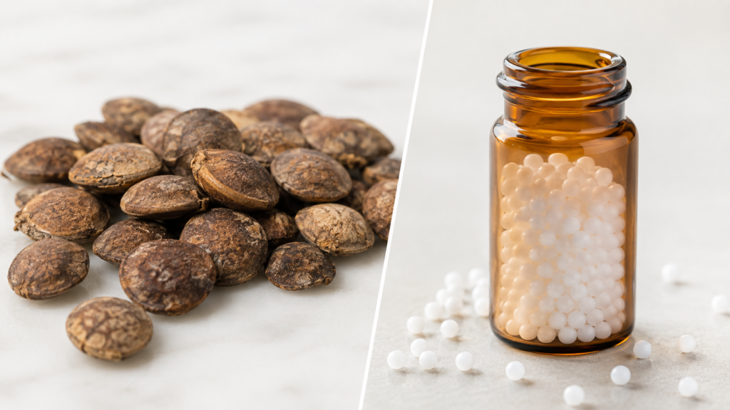 Raw nux vomica seeds compared with homeopathic pellets