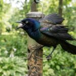 Safflower Bird Seed Guide: How to Stop Squirrels and Attract Songbirds